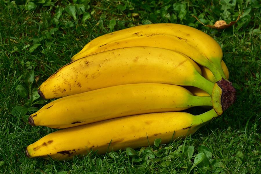Bericht Hoe maak ik… plantenvoeding van bananenschil of onkruid? bekijken